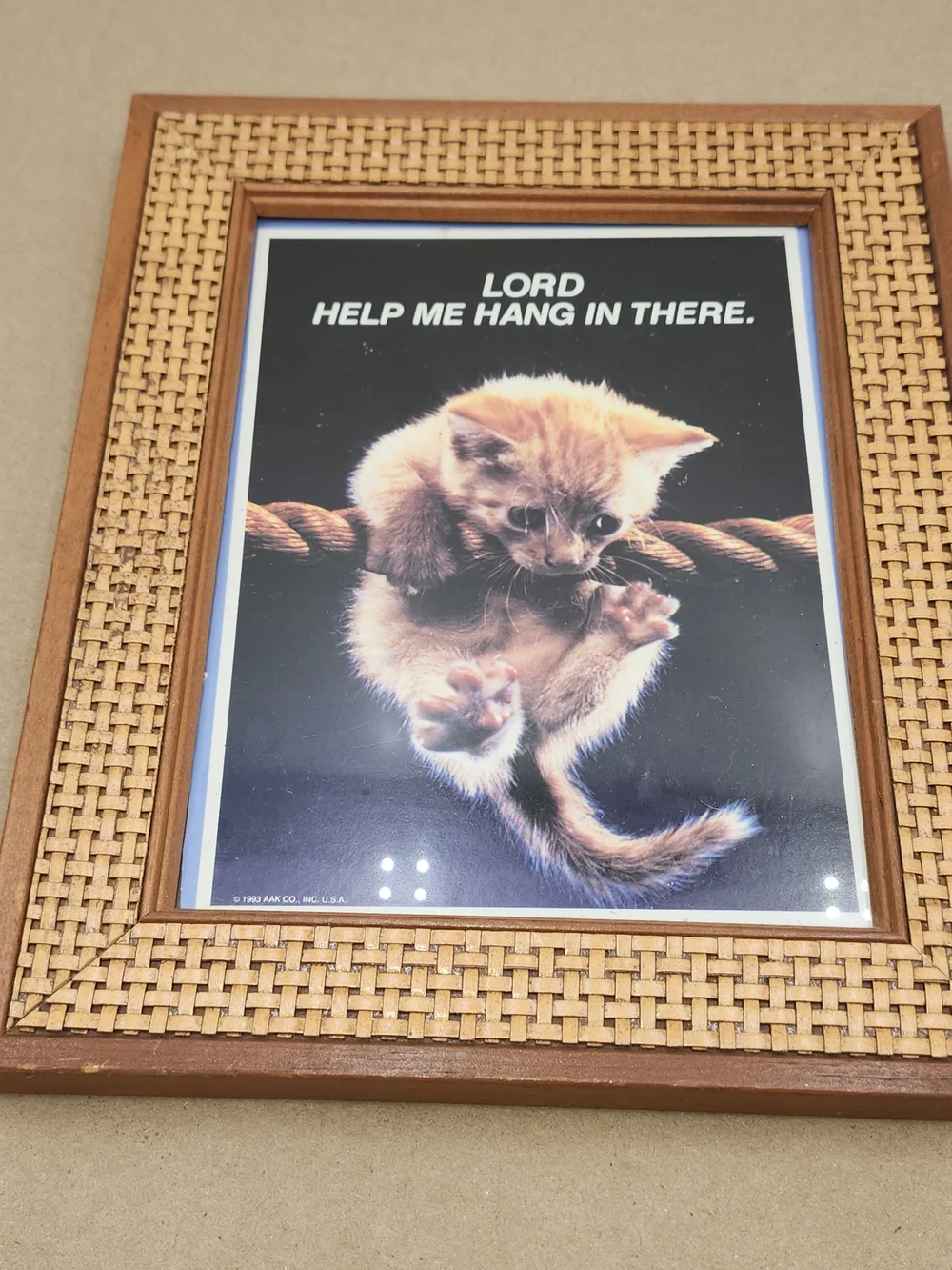 Vintage Rattan Framed Art Motivational Poster Cat Hang In There Wall Art
